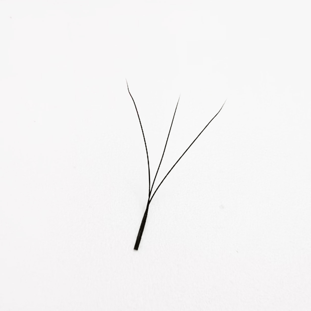3d W Eyelashes Lash Extension  - Red Clover Flower review and price